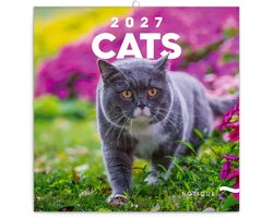 Katten Kalender 2027