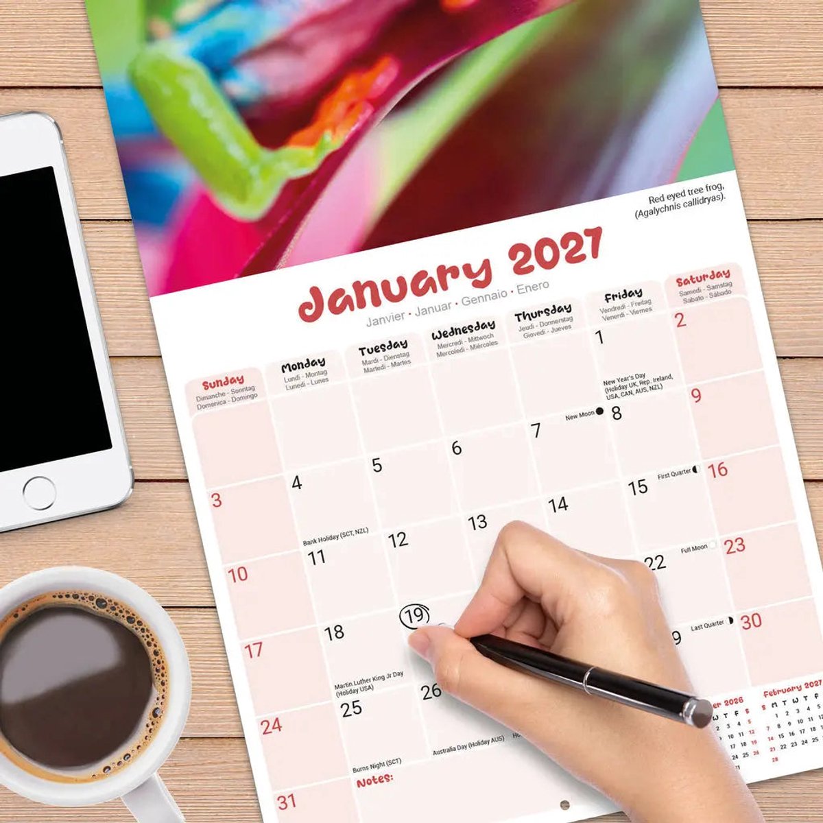 Kikker Kalender 2027
