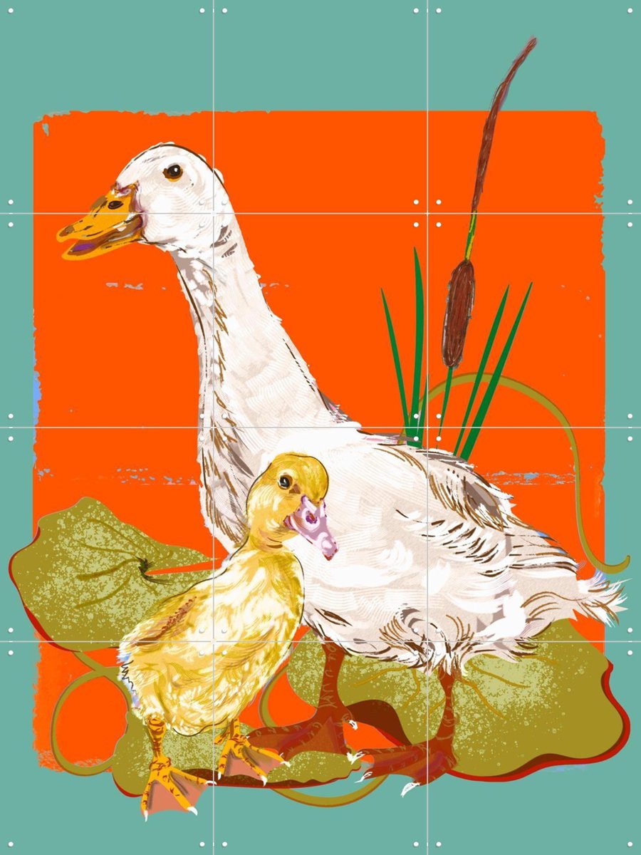 IXXI Peking Ducks Pond, Marylène Madou - 60 x 80 cm - Gratis ophangtool - Grote wanddecoratie en posters - Illustraties, Cartoonesk, Babykamer