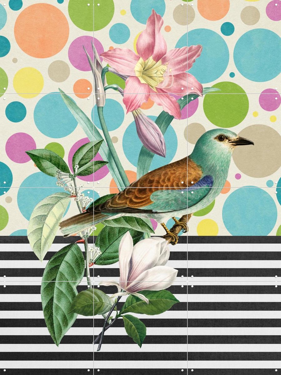 IXXI Sweet Spring Bird, Marja van den Hurk - 60 x 80 cm - Gratis ophangtool - Grote wanddecoratie en posters - Digitale Kunst, Gemengde Technieken