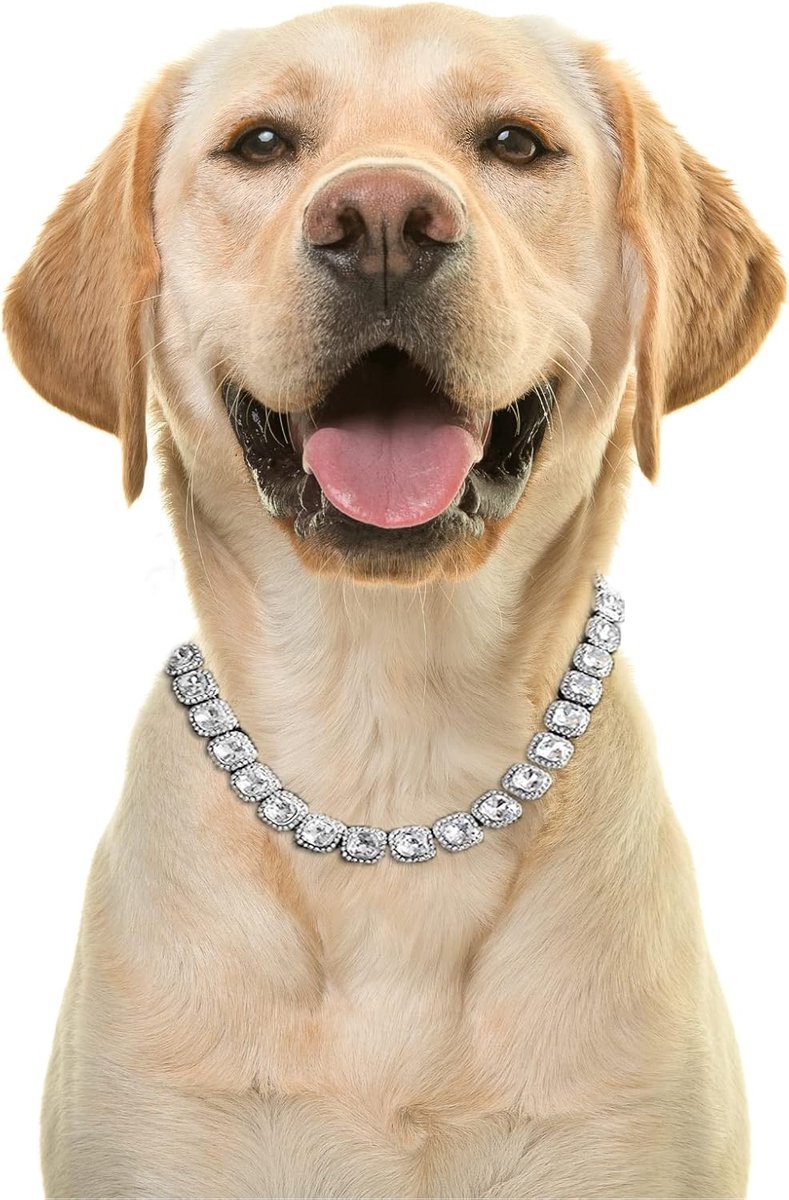 SnelShoppen - Gouden Iced Out Halsband voor Grote Honden, Tennis Ketting, Platina Gecoat, VVS Lab Diamanten, 50 cm, Decoratie, Luxe Geschenkdoos