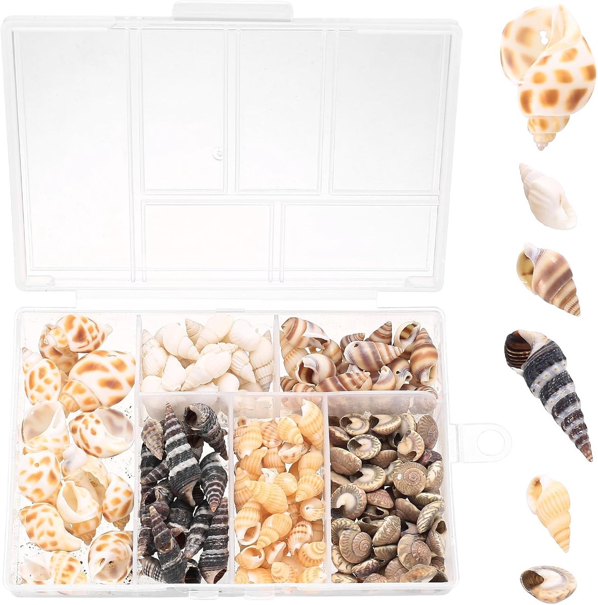 SnelShoppen - 100 Pcs Natuurlijke Schelpen voor Creatieve Klussen, Decoratie, Marine Thema, DIY, Vaas Vulmateriaal, Bruiloft, Aquarium, Feest, Sand, S