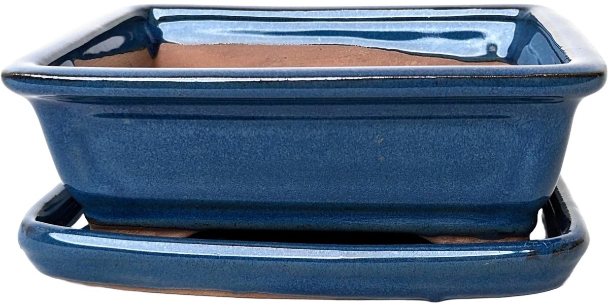 Omgoods - Glazed Ceramic Bonsai Pot met Drip Tray - Metallic Blue, 16 cm