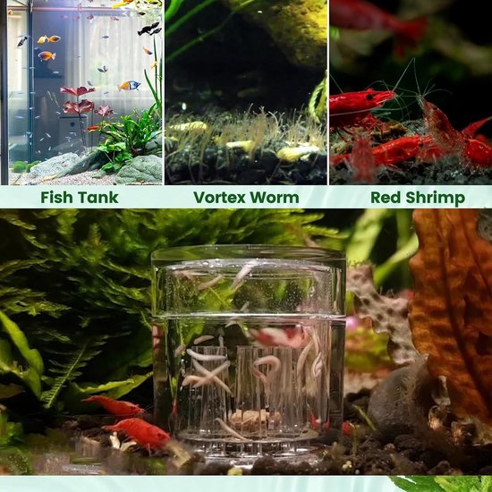 4 stuks acryl aquariumval met 8 gaten, planaria-val voor aquarium — afbeelding 4