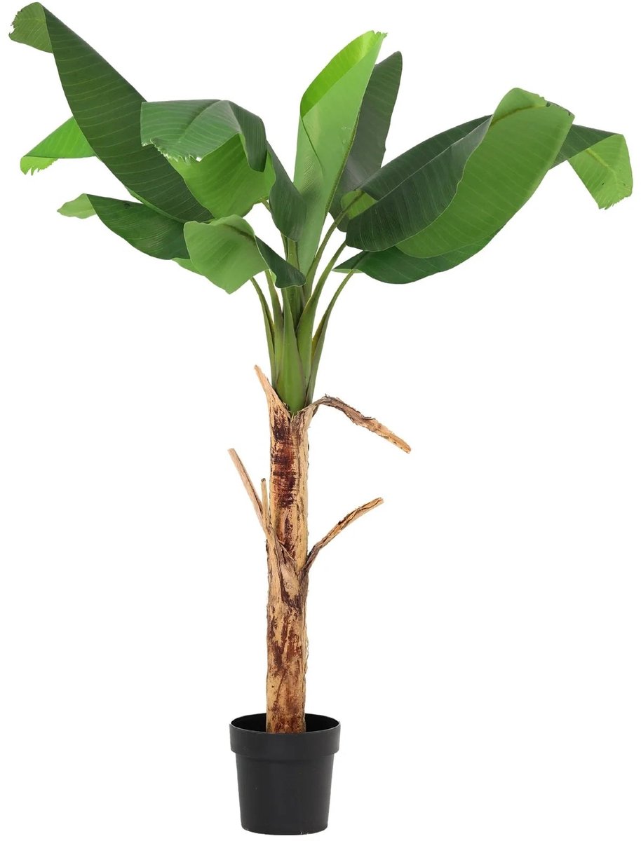 Trendyplants - Kunst Bananenplant Musa - Bananenplant - Kunstplant - Hoogte 150cm - Potmaat Ø20cm