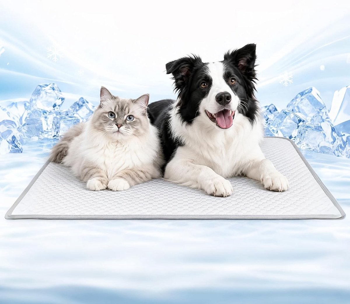 Koelmat voor honden, kattenkoelmat, koelmat voor honden