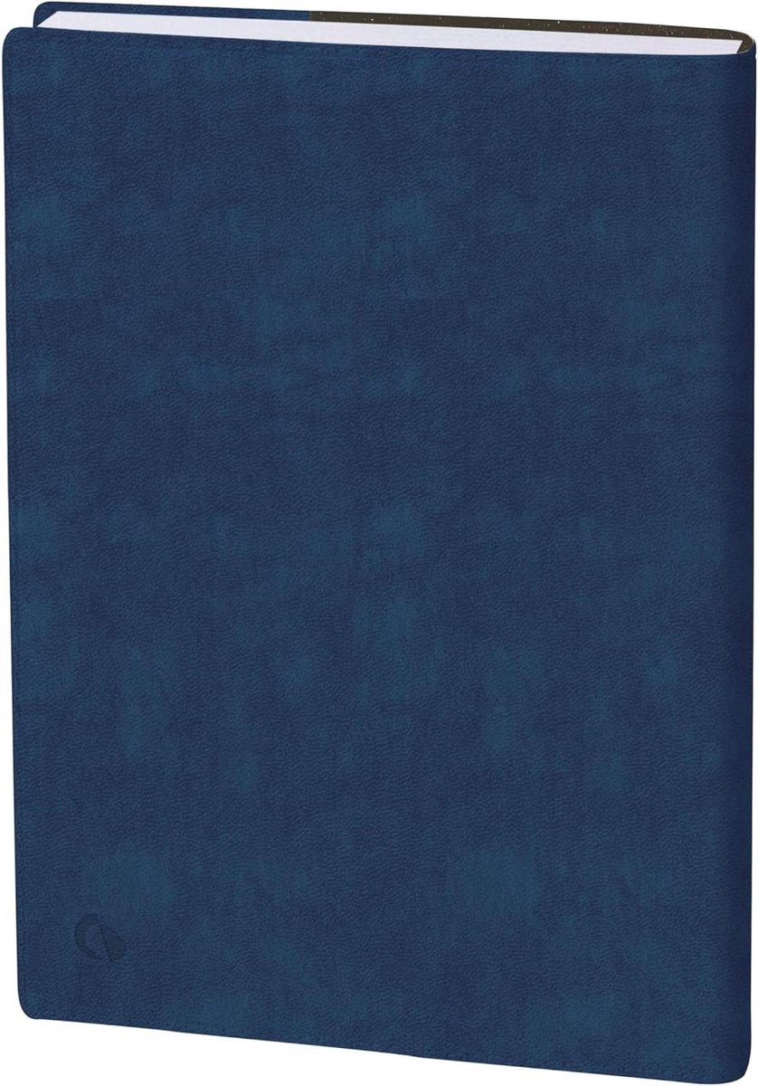 Agenda Schooljaar - Dagboek Planner - Leren Organiseren - 1 Dag Per Pagina - 12 x 17 cm - Blauw