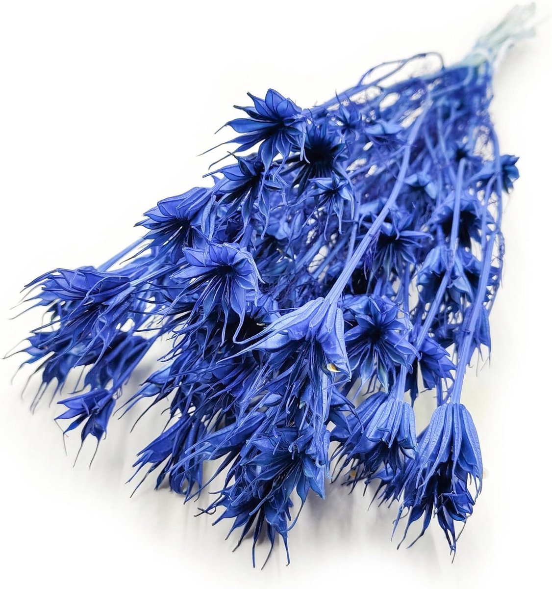 Gedroogde Nigella - Ornamentale bloemen - Decoratie Huis - Natuurlijke Elegantie - 60 cm - Blauw