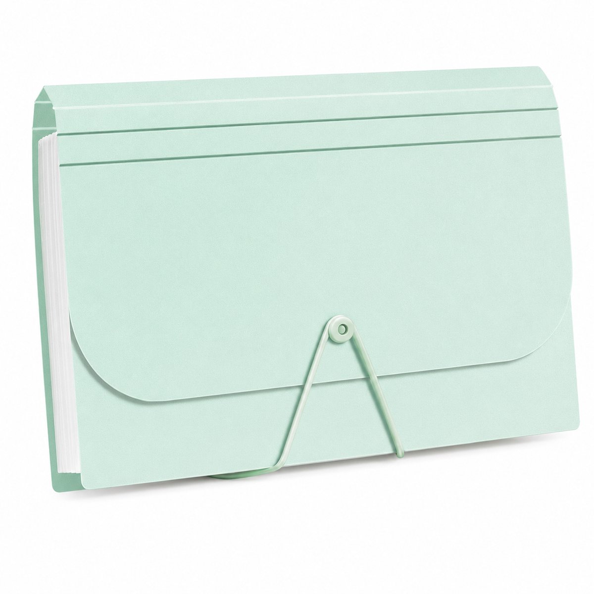 Bobypet - Uitbreidbare Accordeon Map - 13 Vakken - A6 Mini Documenten Organizer - Bonnetjes & Kwitantie Houder - 17.5x11.8 cm