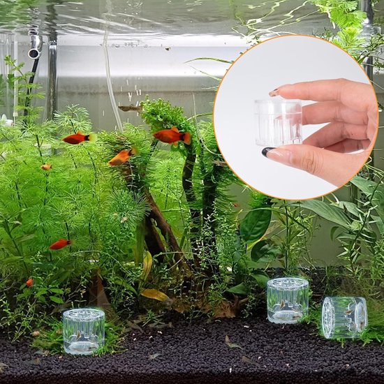 8 stuks, 30 x 32 mm, slakkenval, aquarium, 8 gaten, transparant, voor het vangen van planaria's, slakken, bloedvallen in het aquarium — afbeelding 4