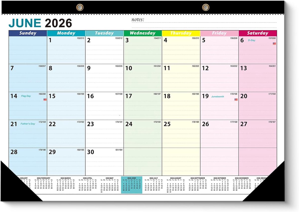 Wandkalender van juni 2026 - december 2027,19 maand academische wandkalender 2026-2027, afscheurbare maandkalender voor kantoor, familieplanner, hangplanner met stickers - 43 x 30 cm (kleurrijk)