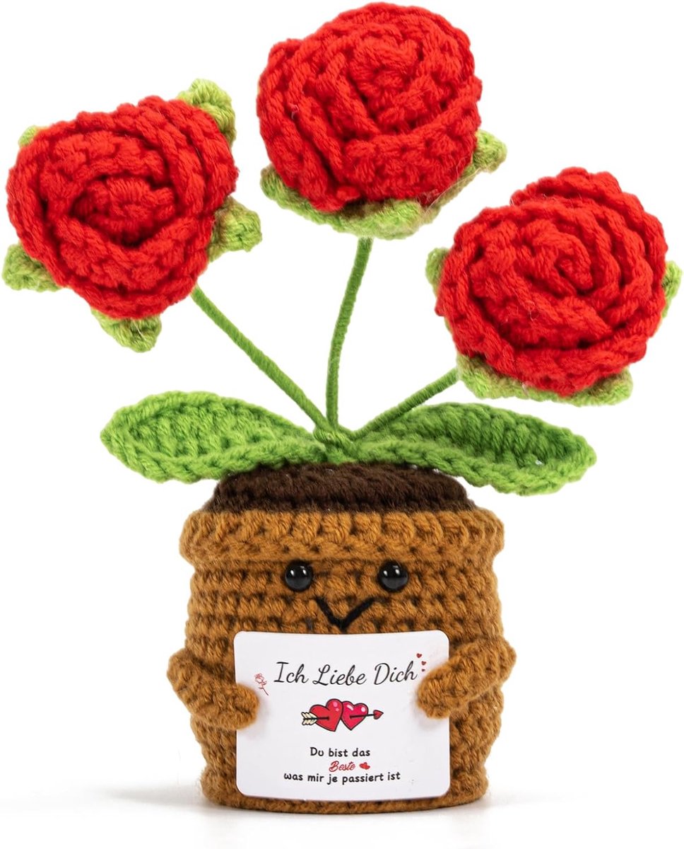 Love Handgemaakte gehaakte roos in pot, partner liefdesgeschenk voor verjaardag, trouwdag