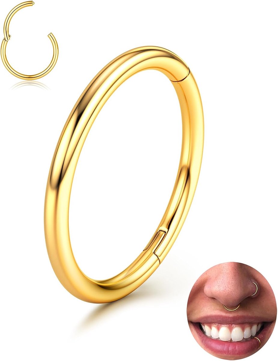 Ringen Hoepels - 316L Chirurgisch Staal Naadloze Neus Piercing Sieraden Septum Klikker Lip Ringen Kraakbeen Helix Daith Conch Tragus Rook