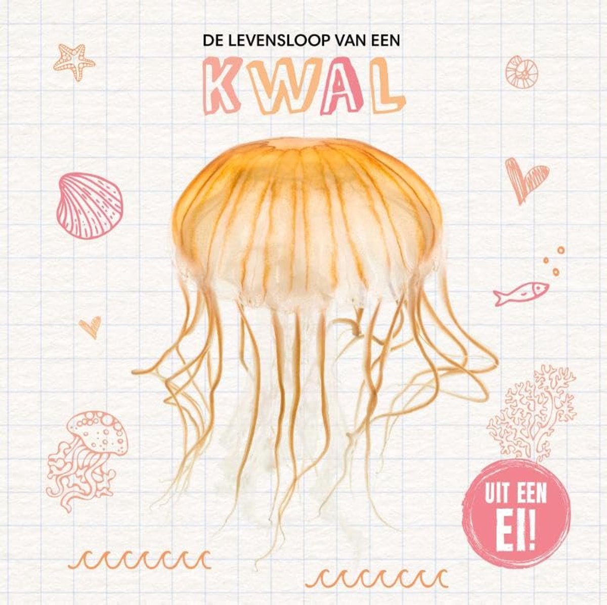 levensloop van een kwal