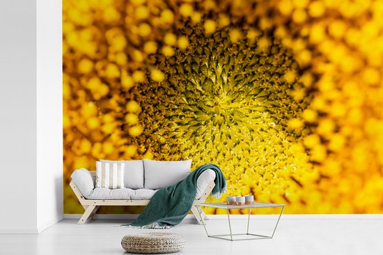 Papier peint - Papier peint photo peint - Noyau gros plan d'un tournesol - Largeur 420 cm x hauteur 280 cm