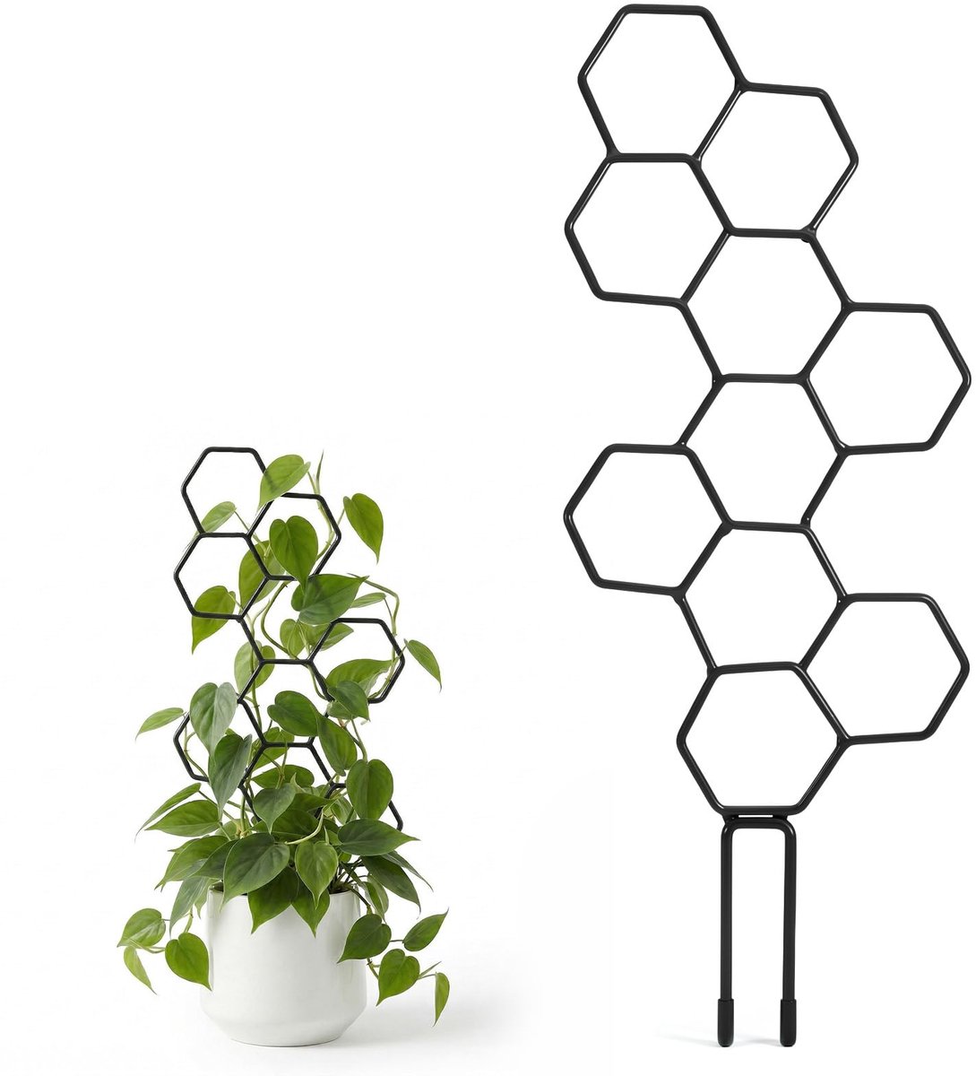 Klikhulp voor kamerplanten, zwart, 35,5 cm, klimrooster, plantensteunen, honingraatvormige metalen klimsteun, tuin, plantenrooster voor potplanten, klimplanten, potplantenstokken