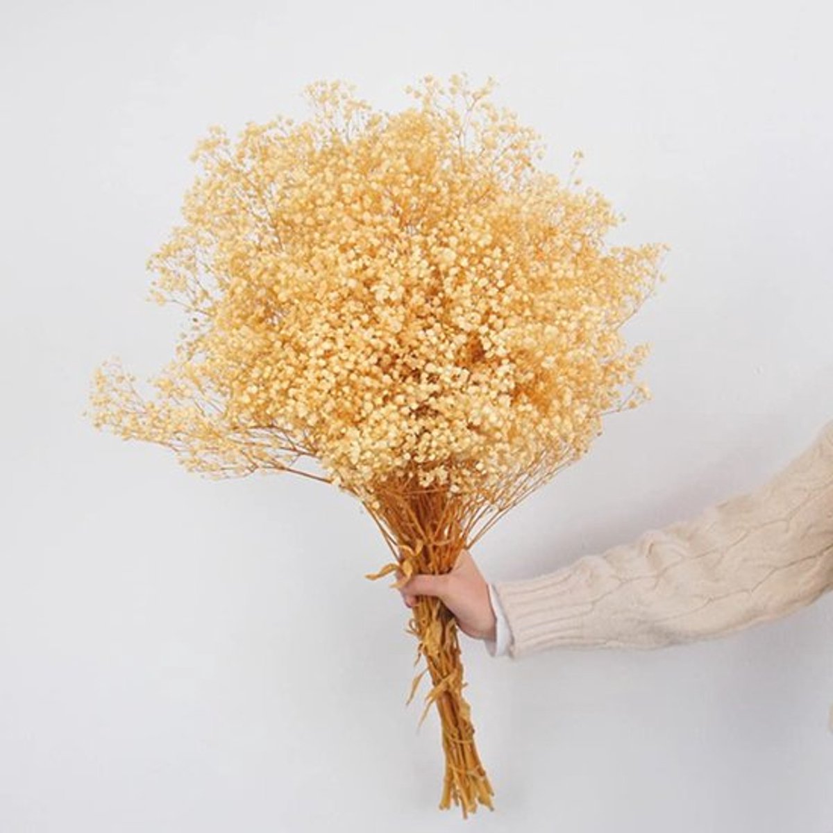 Dailygoody - Droogbloemen babyadem boeket - Witte Gypsophila takken