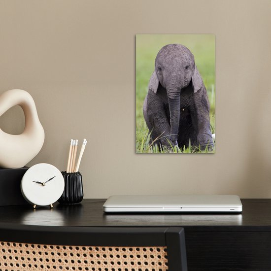 Affiche un bébé éléphant - 20x30 cm