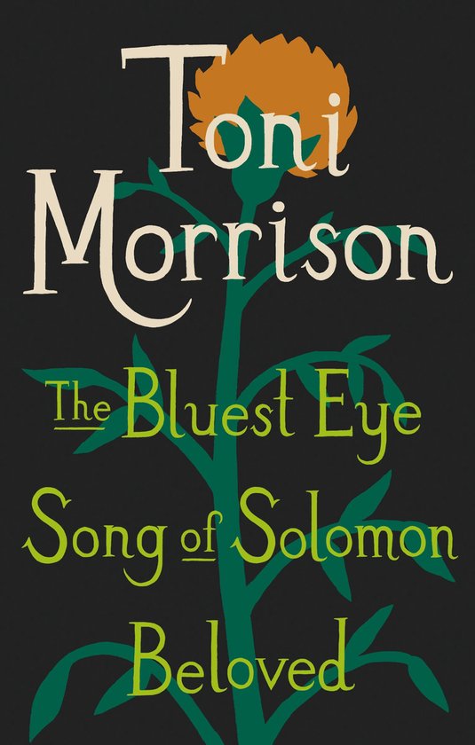 Toni Morrison Box Set - cover