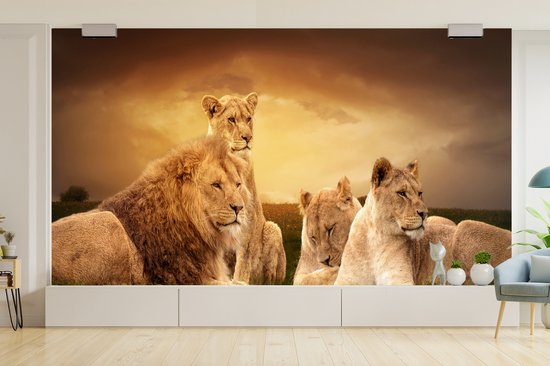 Papier peint - Papiers Papier peint photo Lions - Herbe - Ciel - Largeur 395 cm x Hauteur 220 cm