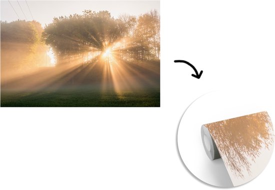 Behang - Fotobehang Zonnestralen door de ochtendmist in het Nationaal park Söderåsen - Breedte 450 cm x hoogte 300 cm
