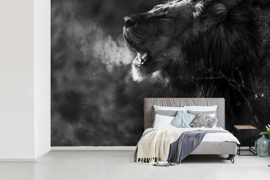 Papier peint Papier peint photo en vinyle - Lion rugissant largeur 390 cm x hauteur 260 cm - Tirage photo sur papier peint (disponible en 7 tailles)