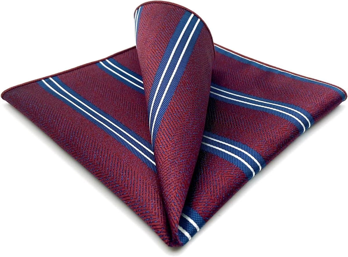 SHLAX&WING Pochetten voor Heren Kastanjebruin Blauw Rood Gestreept