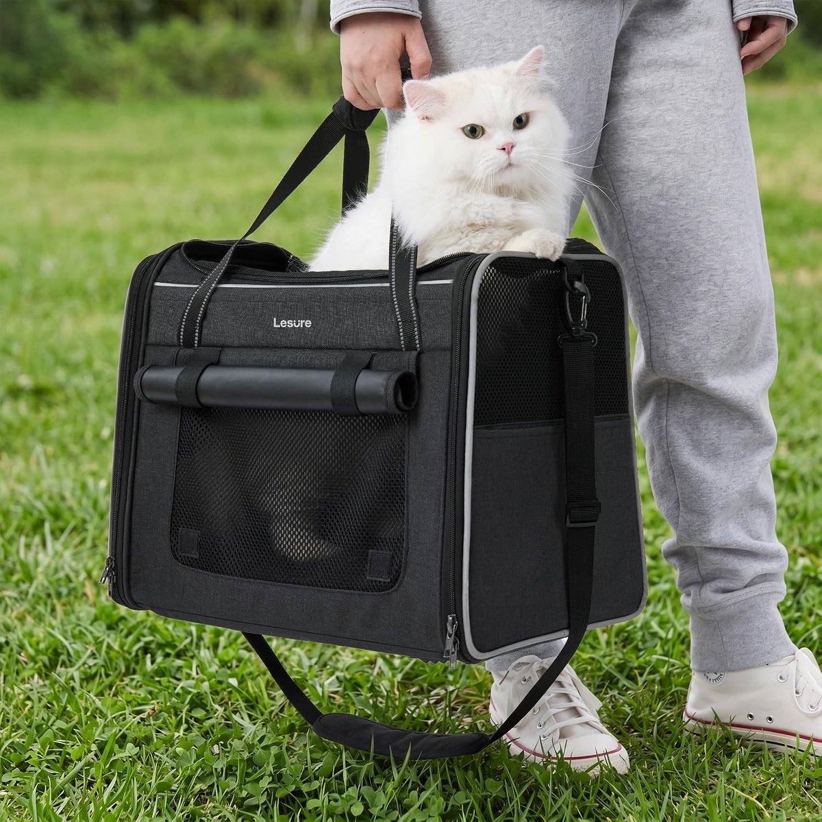 Katten vervoersbox - Zwart - 43,5 x 29,5 x 34 cm - Opvouwbare Kattenreismand met Ademend Gaas - Voor Katten en Kittens