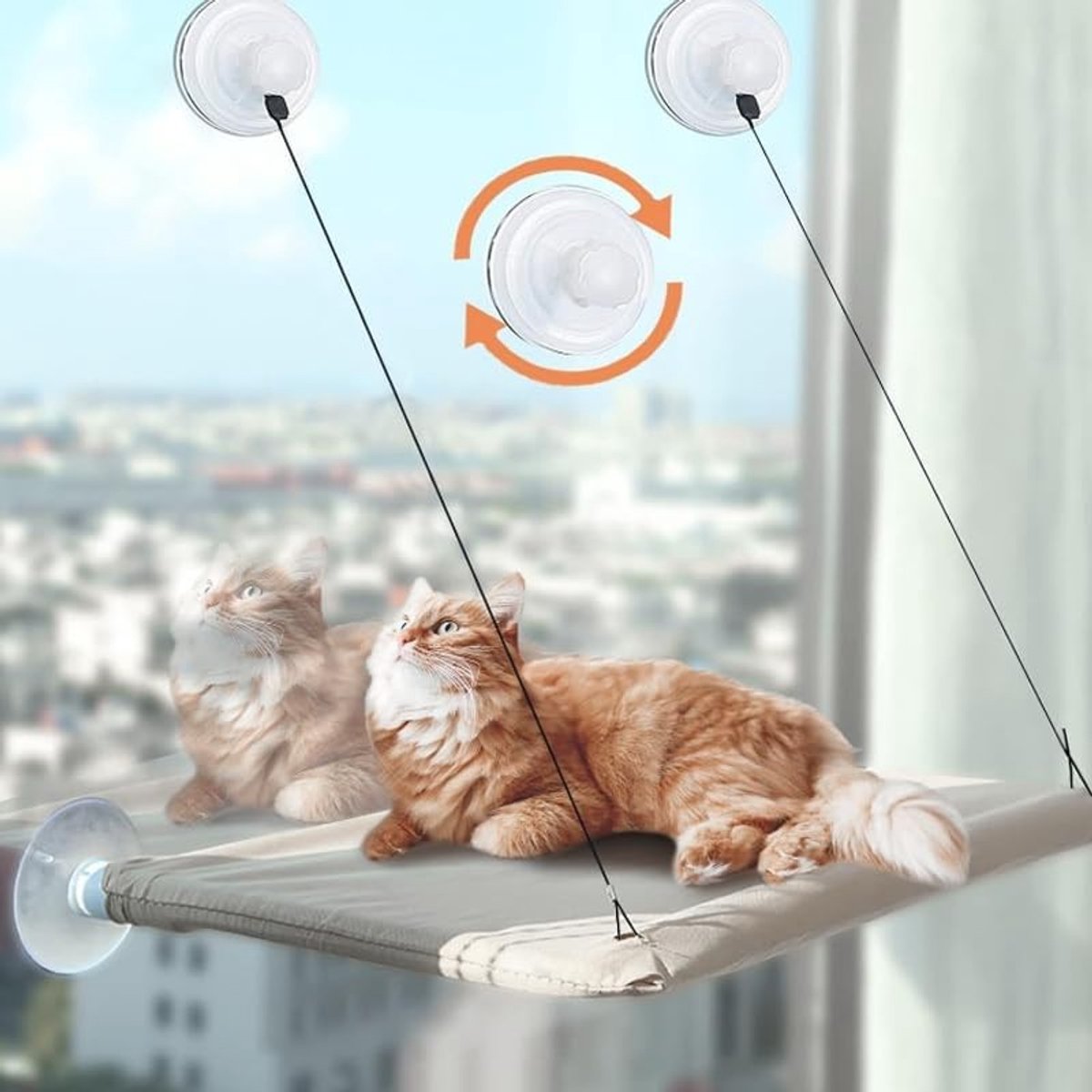 Cat Hammock voor Venster tot 25 kg, 55 x 35 cm, Wasbare Hangbed met Sterke Zuignappen en Duurzaam Ontwerp