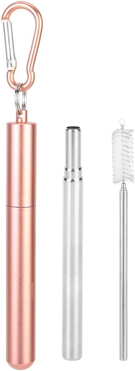 SnelShoppen - Telescopische Rietjes, 9 Inch Draagbaar Rvs Herbruikbaar Rietje met Schoonmaakborstel, Sleutelhanger voor Thuis, Kantoor, Reizen, Drinke