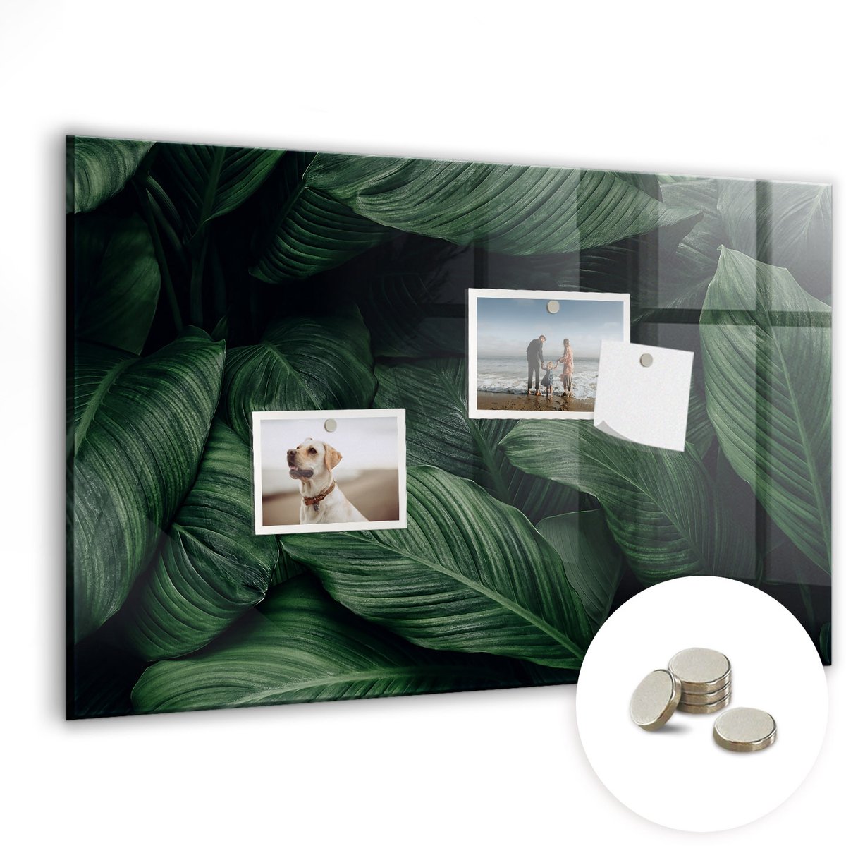 Coloray Glazen Magneetbord - Magnetisch Bord Tropische monstera - 60x40 cm - Groente Magneetbord - Magnetic Board - Bureau Decoratie