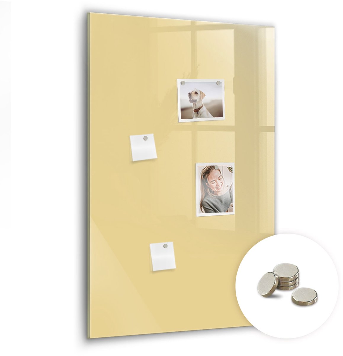 Coloray Glazen Magneetbord - Magnetisch Bord Boomstronken - 60x90 cm - Romig Magneetbord - Magnetic Board - Woonkamer Decoratie