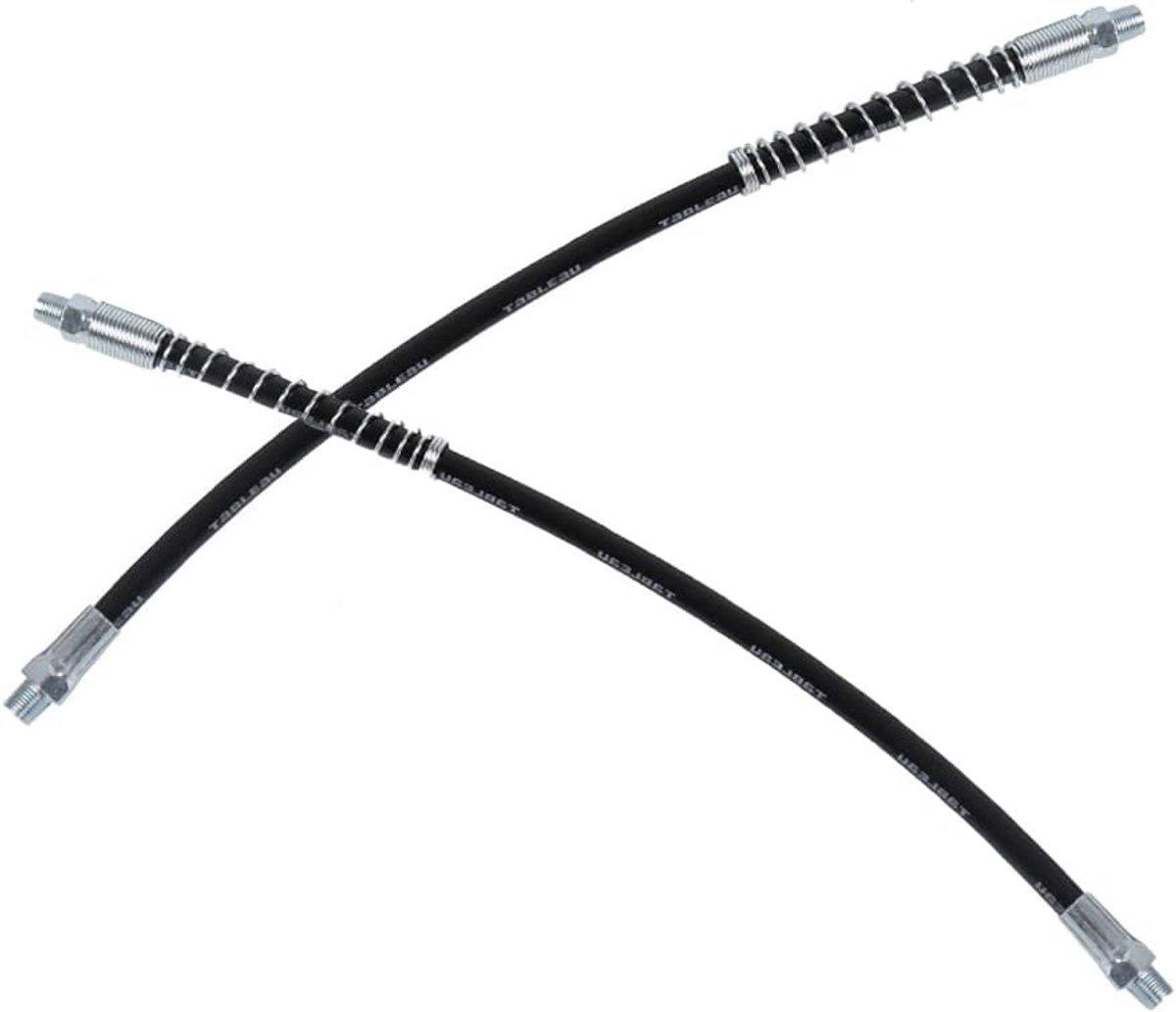 Allecto Plus - Flexibele Extension Vet Slang 400mm Met Spring Guard - Handmatige Vet Tool (1/8 NPT) - Set van 2 Stuks