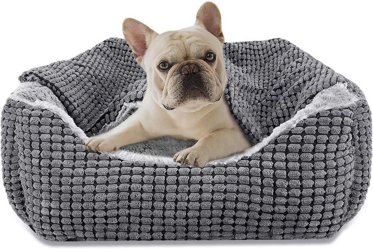 Hondenmand - Huisdieren Sofa - Comfortabel Slapen - Afneembare Dekentje - 51x48x15 cm - Grijs