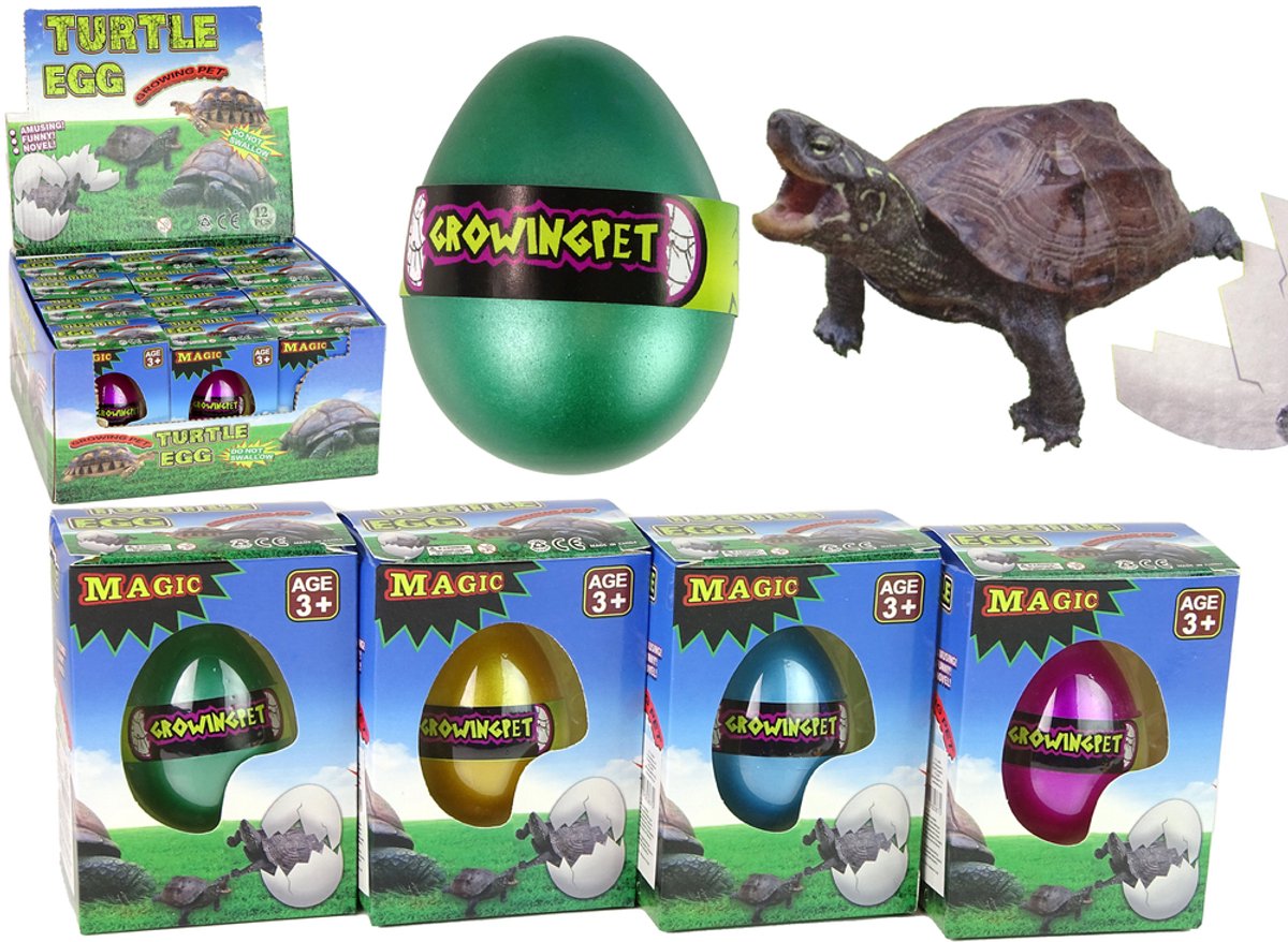 Uitkomend Magisch Schildpad Ei Groeiend 6 Cm.