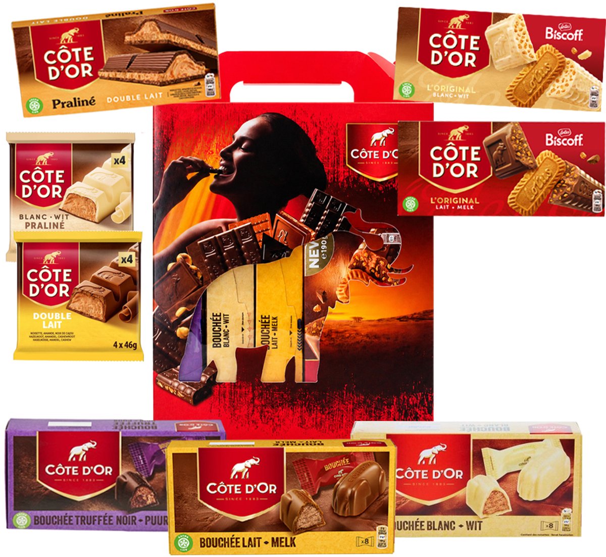 Côte d'Or chocolade giftbox 1472g - praliné & Biscoff - mix van individueel verpakte chocolade - chocolade cadeau