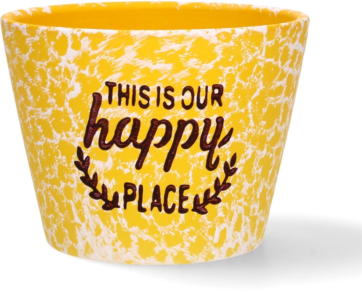 Decoratieve Keramische Pot/Bloempot voor Huis en Tuin