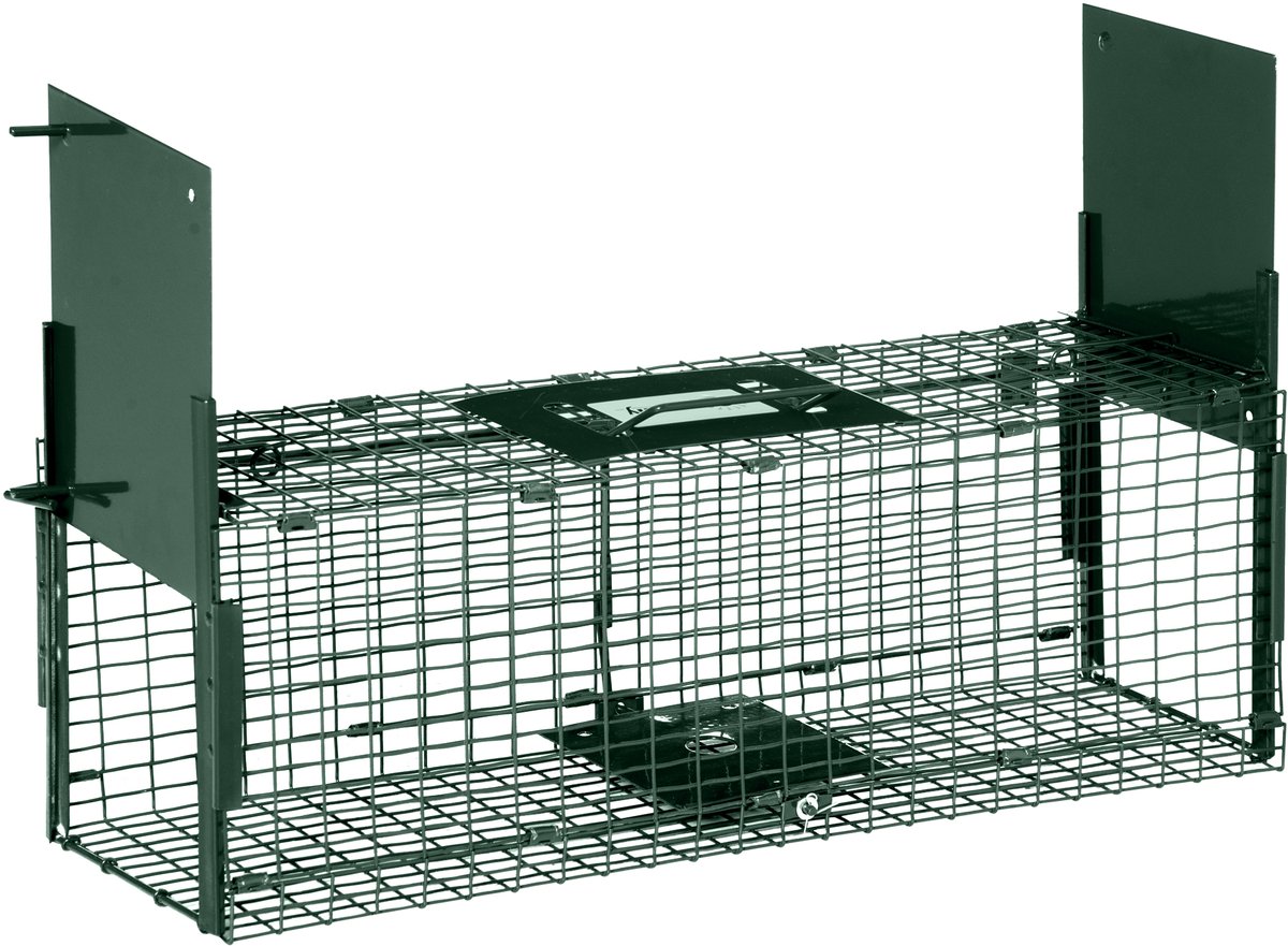 Levende valkooi - 60x18x20 cm - Voor marter rat en muis - 2 ingangen + handvat - Metaal - Groen