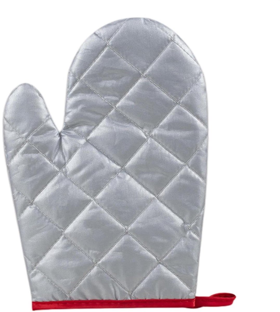 Stoomhandschoenen Kleding - Strijkhanden Stoom - Kleding Stomen - Waterdicht en Hittebestendig - 23 x 13 cm - Zilver