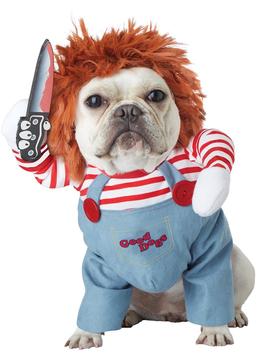 Chucky kostuum voor honden