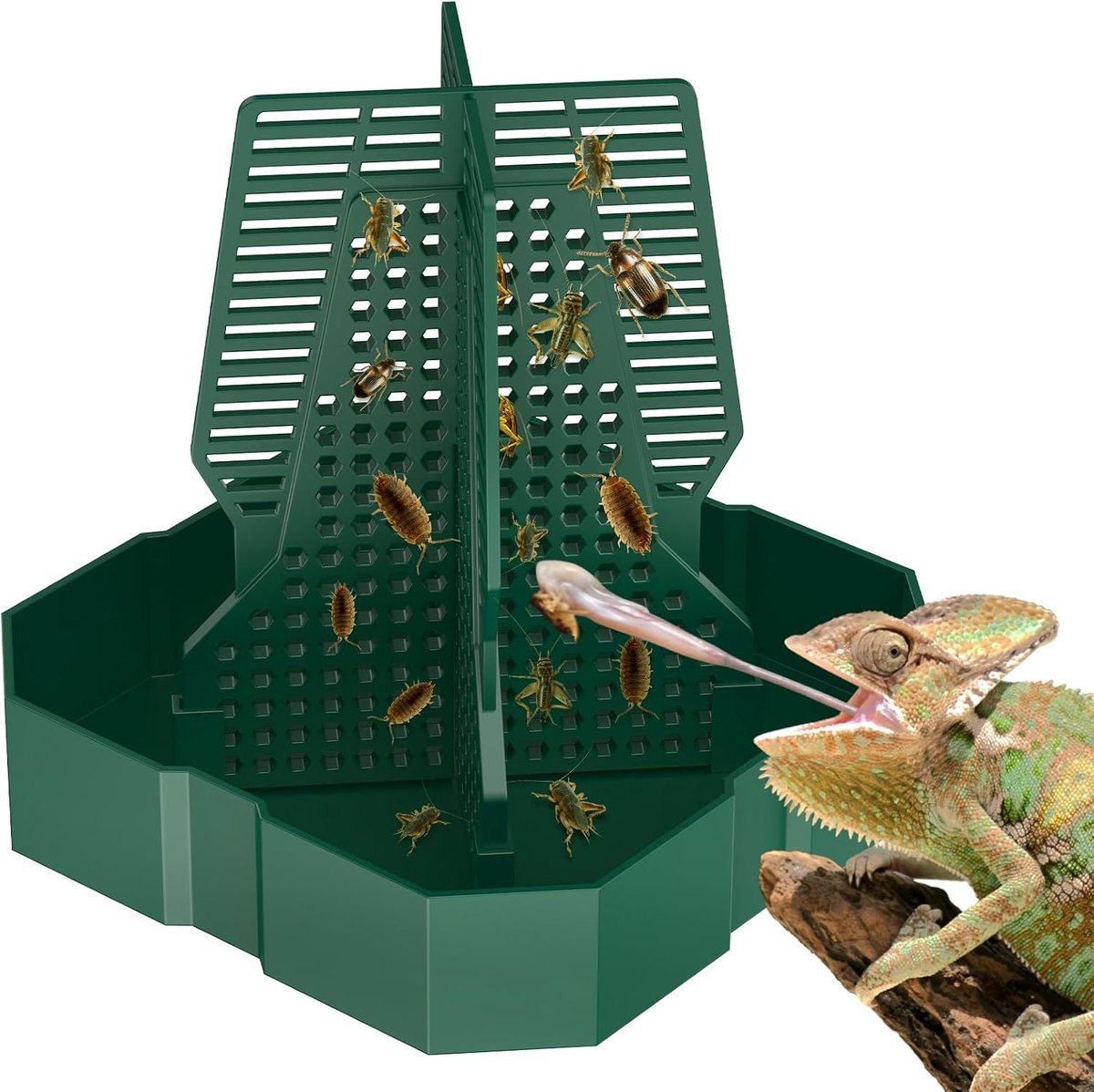 Voederbak voor Kameleons en Klimbare Reptielen, Plastic Insecten Voederbak voor Baardagamen, Hagedissen, Gekko's & Kikkers