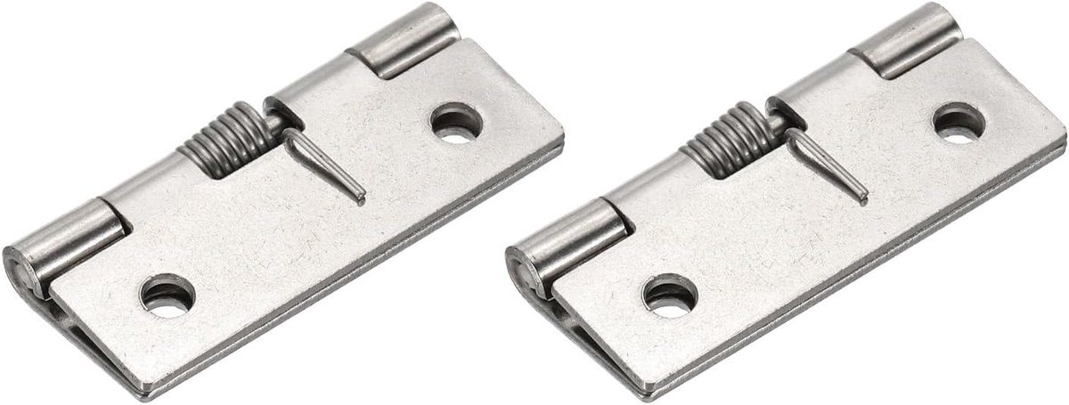 Scharnieren Lengte 2 inch Roestvrij Staal Zelfsluitende Veer Kleine Deurscharnier Voor Kastdeur Doos DIY Hardware, Zilver