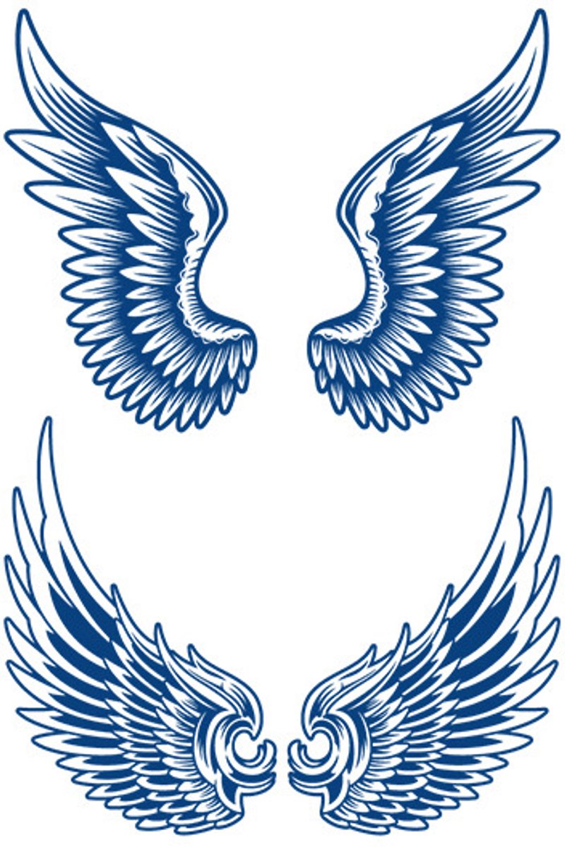 Tijdelijke tattoo Vleugels sierlijk 2 weken