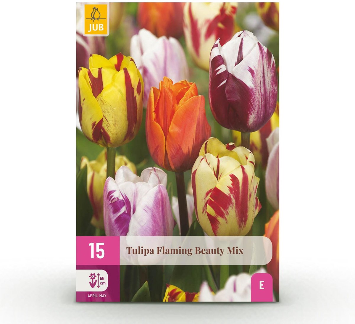 Bloembollen - Tulp Flaming Beauty mix - Diversen Kleuren - 15 stuks - Bolmaat 11/12 - XXL Pack