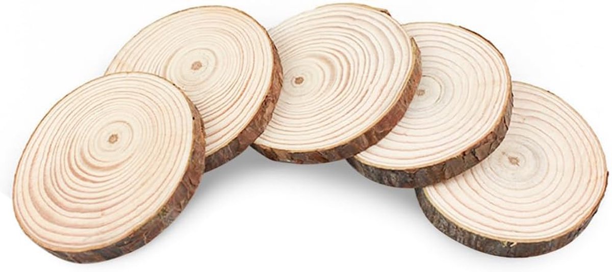 10 stuks houten schijven, natuurlijke schijven van hout, boomschijven met schors, rond, onbehandelde houten cirkels voor doe-het-zelf handwerk, schilderen, rustiek, feest, woondecoratie, 1