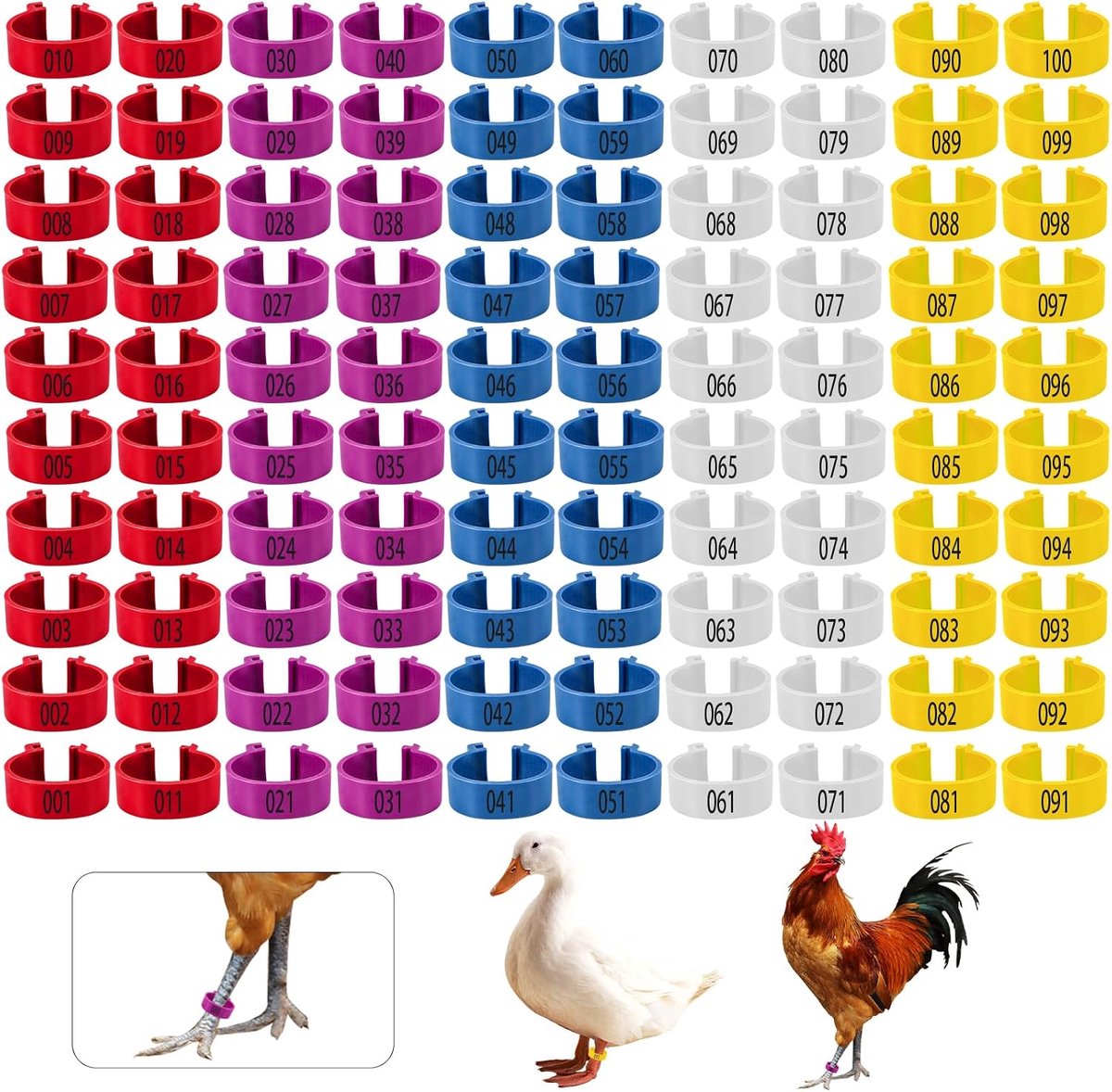100 Stuks Kippenpootringen, 5 Kleuren Kippenpootringclip Genummerd Gevogelte Voetringen Kippenpootbanden Kippenvoettags voor Eenden Duiven Cavia Ganzen Gevogelte (16 mm)