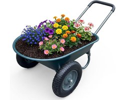 Top 10 Tuinkarren, Tuinwagens & Kruiwagens 2026: Triumpunpre tuinkruiwagen met 2 wielen