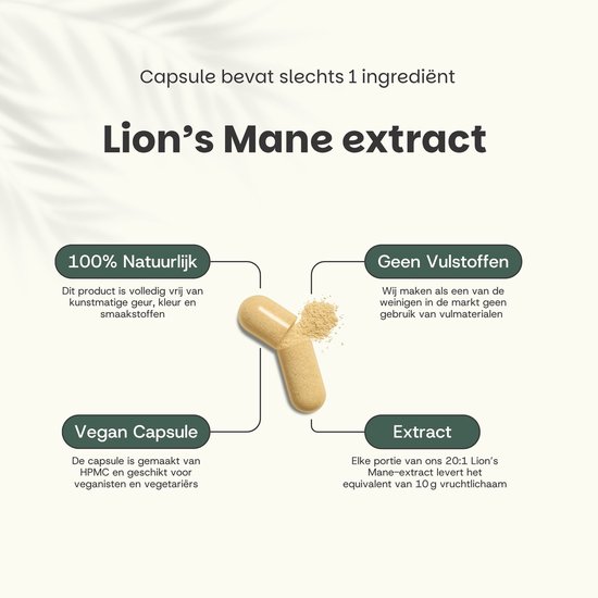Een capsule en poeder van Lion's Mane extract, met uitleg over de ingrediënten en het veganistische aspect.