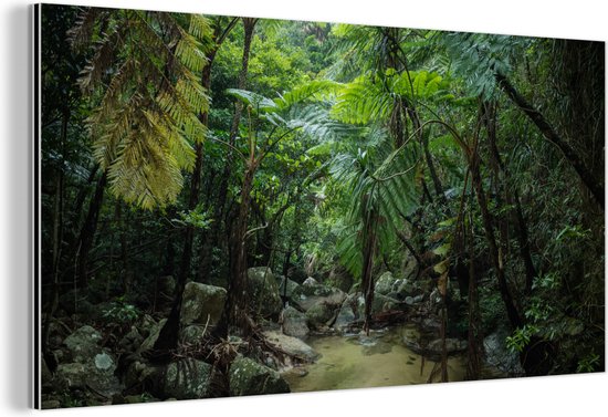 Wanddecoratie Metaal - Aluminium Schilderij Industrieel - Riviertje in tropische jungle - 80x40 cm - Dibond - Foto op aluminium - Industriële muurdecoratie - Voor de woonkamer/slaapkamer