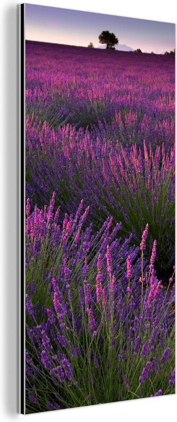 Wanddecoratie Metaal - Aluminium Schilderij Industrieel - Paarse lavendel bloemen in een veld - 20x40 cm - Dibond - Foto op aluminium - Industriële muurdecoratie - Voor de woonkamer/slaapkamer